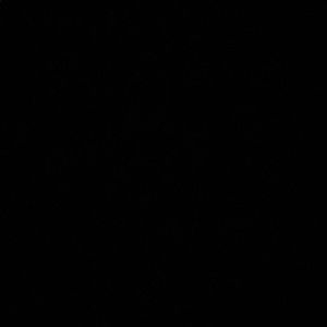 Meet your Posher, Diego